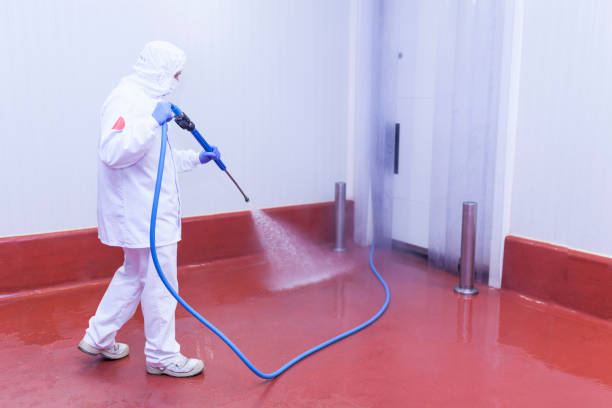 Best Sidewalk and Walkway Cleaning  in Sandoval, IL