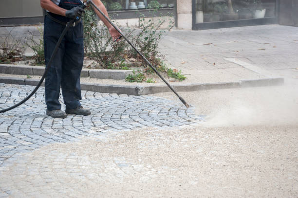 Best Building Exterior Washing  in Sandoval, IL