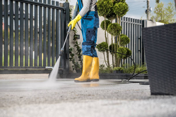 Best Sign and Awning Cleaning  in Sandoval, IL