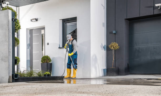 Best Roof Washing  in Sandoval, IL